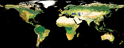 ESA land cover map
